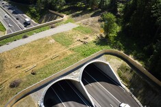 Rege genützt: Wildtierbrücke Rynetel zwischen Suhr und Gränichen