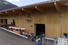 Simmental Arena on TV