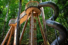 Découvrir la forêt d'en haut - nouveau sentier des cimes sur le Ballenberg